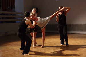 st-lascaux-web st-lascaux-web