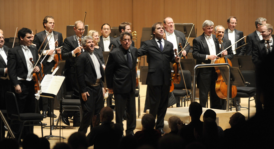 stlascaux_glassmcduffie_cami_500x300